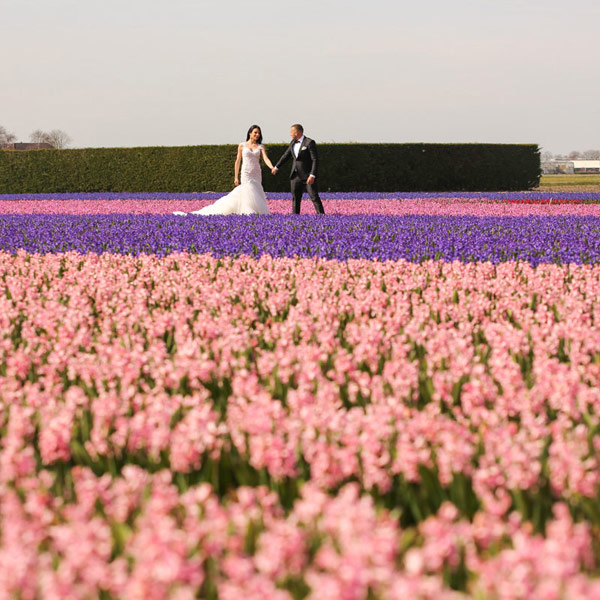 Trouwen in de provincie Flevoland