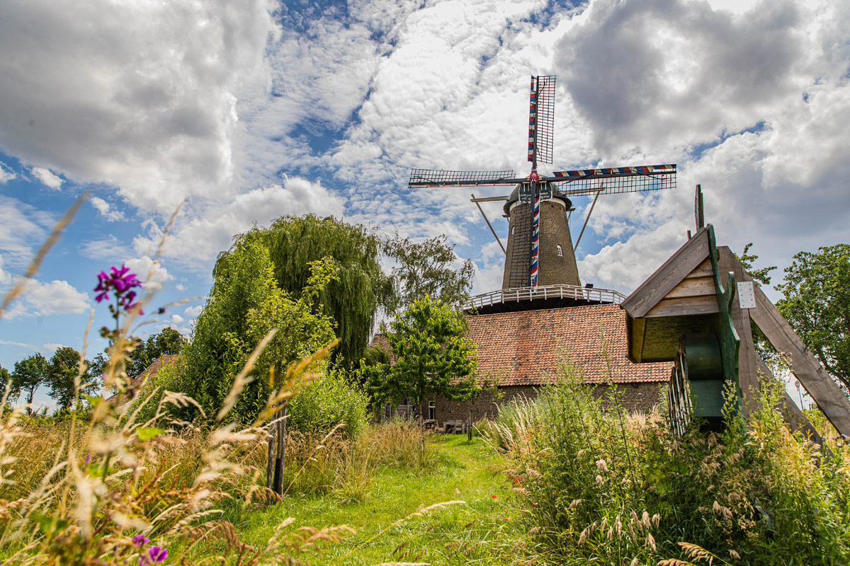 De Hompesche Molen